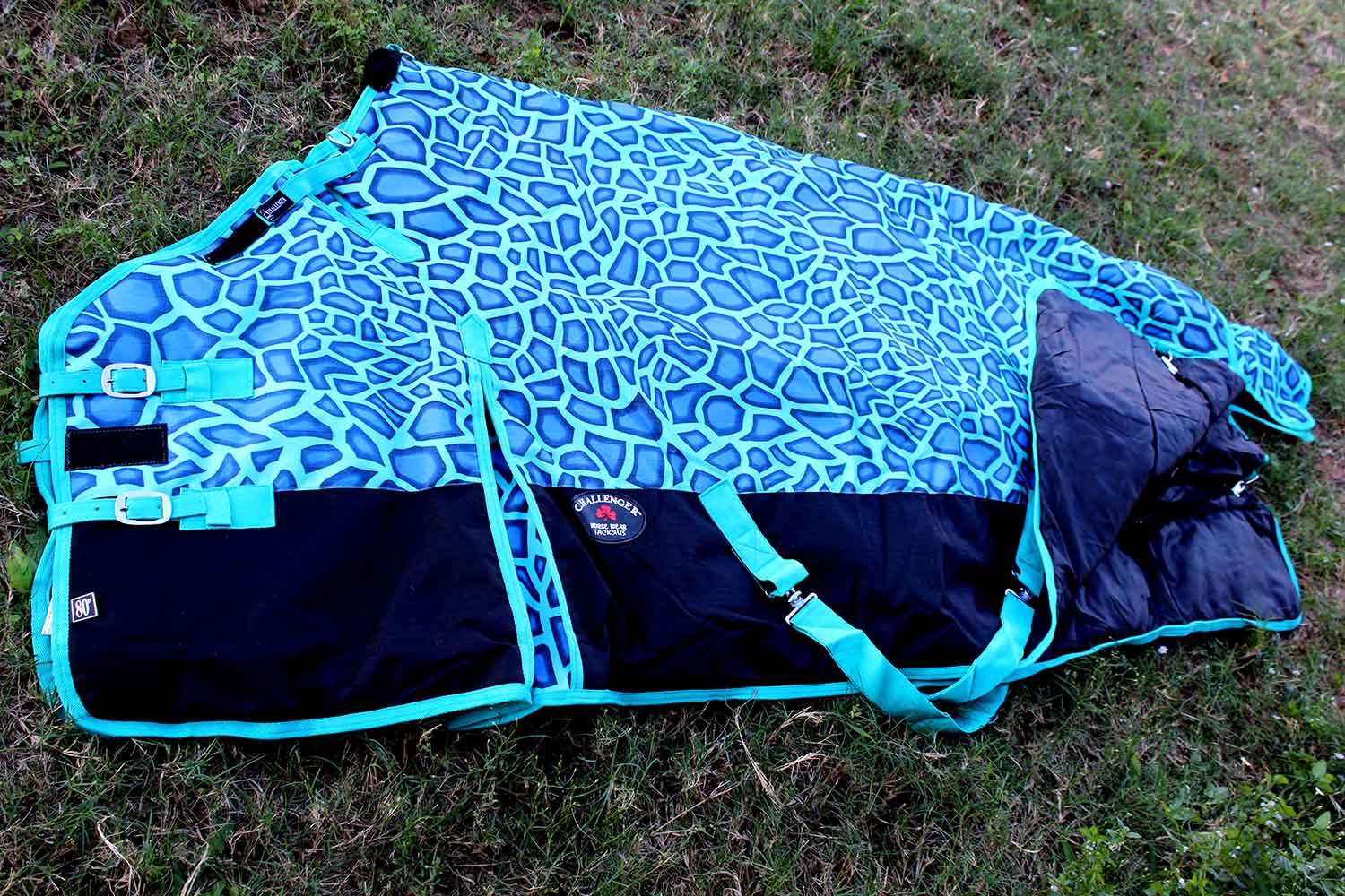 1200D Turnout Waterproof Horse WINTER BLANKET HEAVY WEIGHT Turquoise