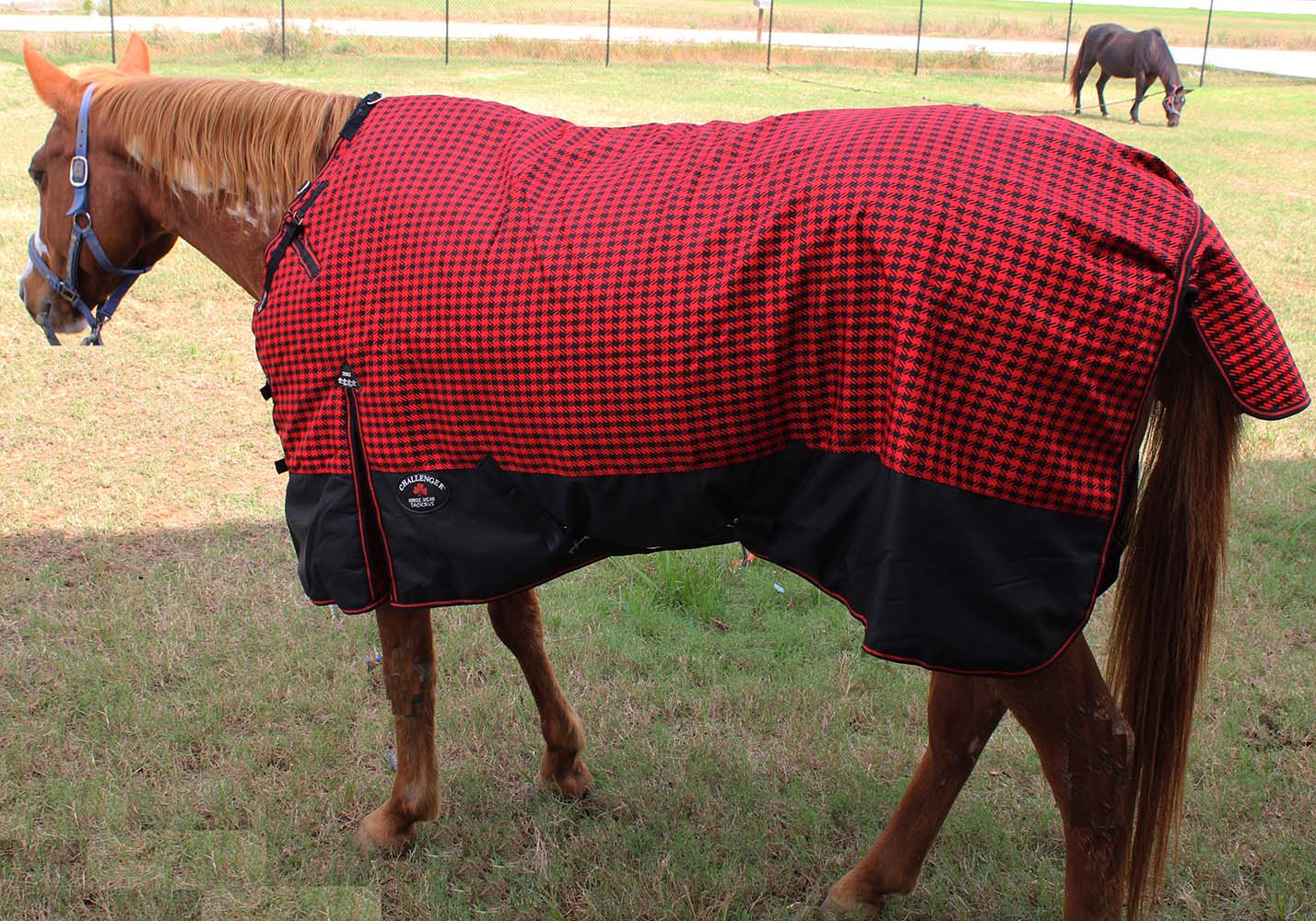 1200D Turnout Waterproof Horse WINTER BLANKET HEAVY WEIGHT BELLYBAND