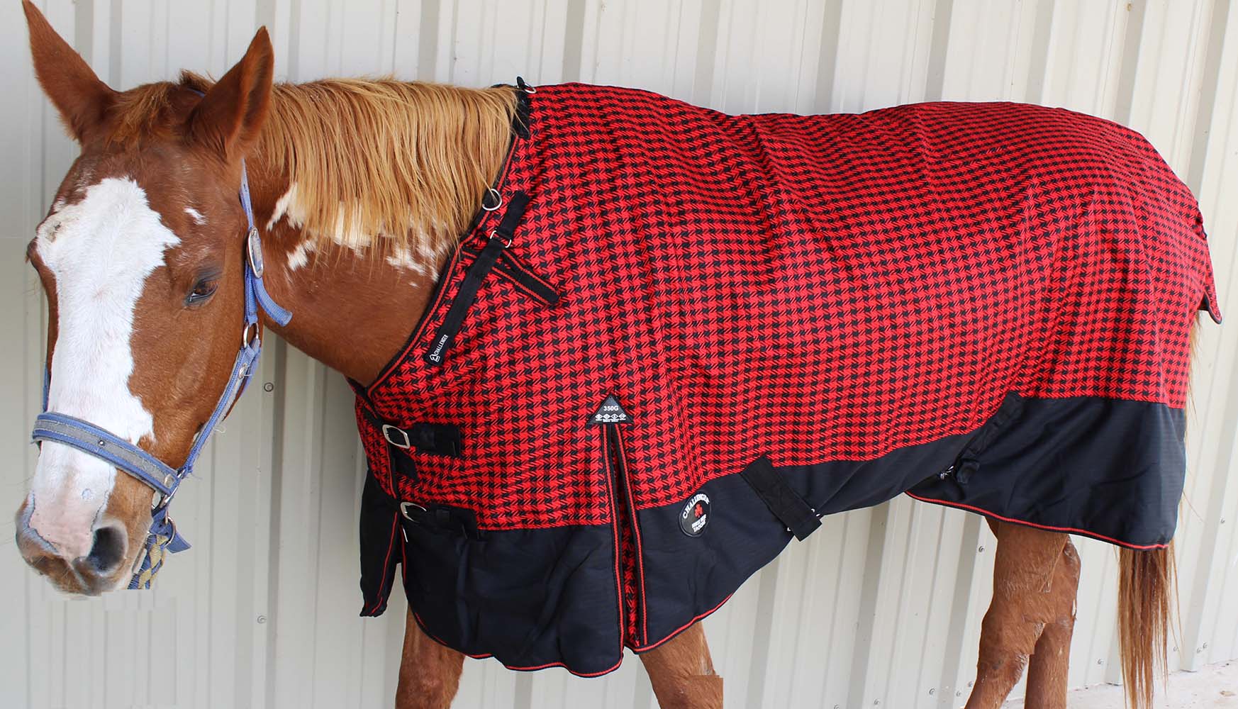 1200D Turnout Waterproof Horse WINTER BLANKET HEAVY WEIGHT BELLYBAND