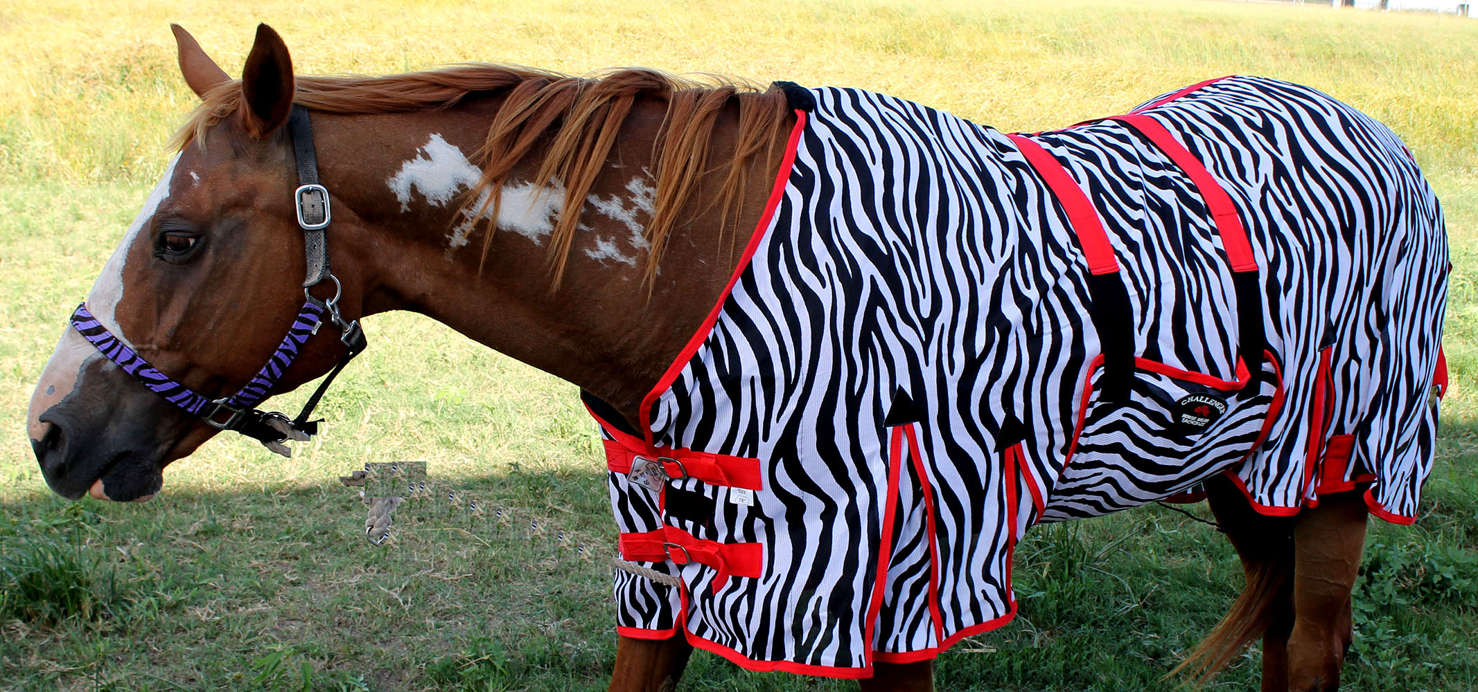 78-horse-fly-sheet-summer-spring-airflow-mesh-uv-bellyband-zebra-73404