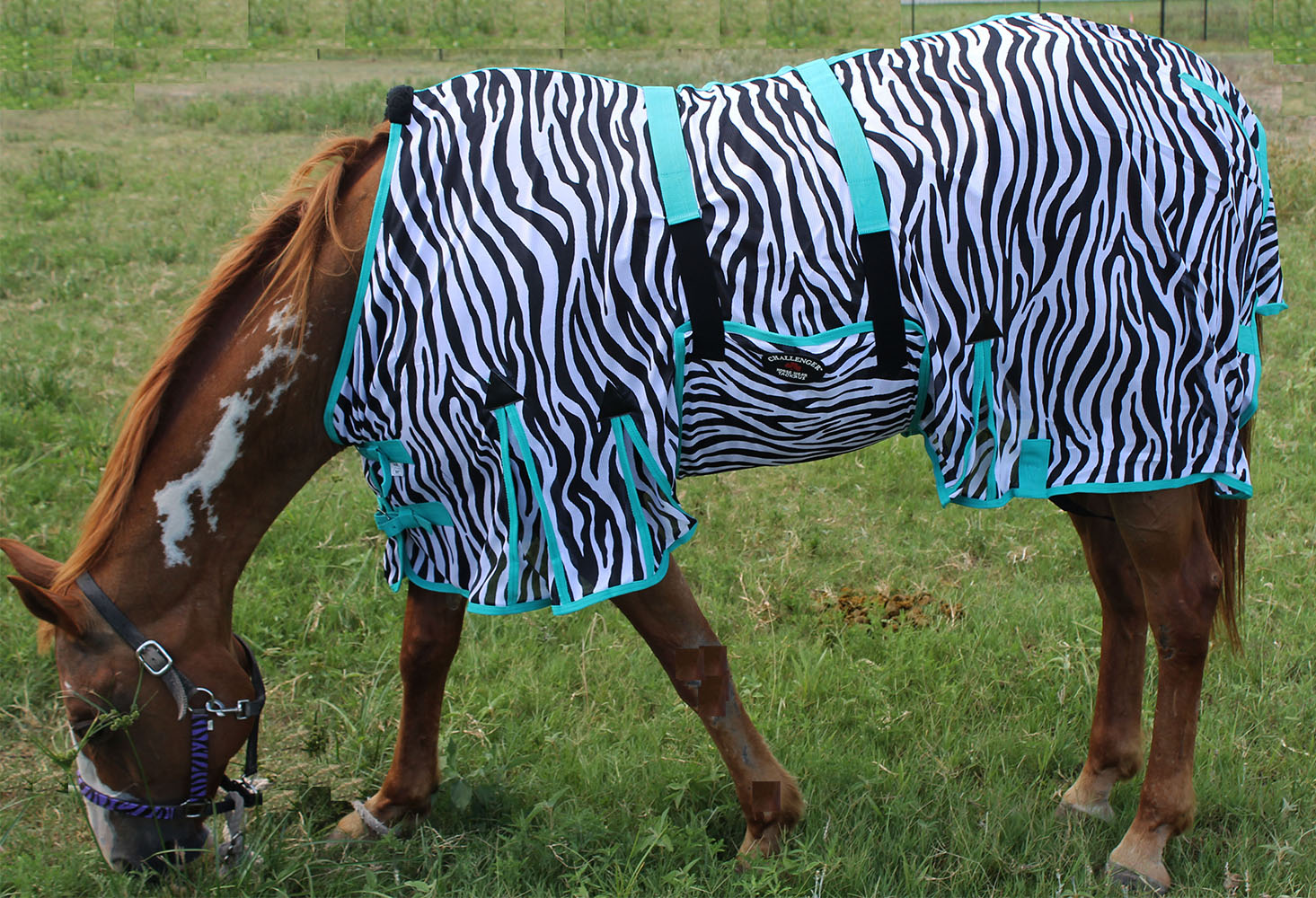 horse-fly-sheet-summer-spring-airflow-mesh-uv-bellyband-zebra-73405