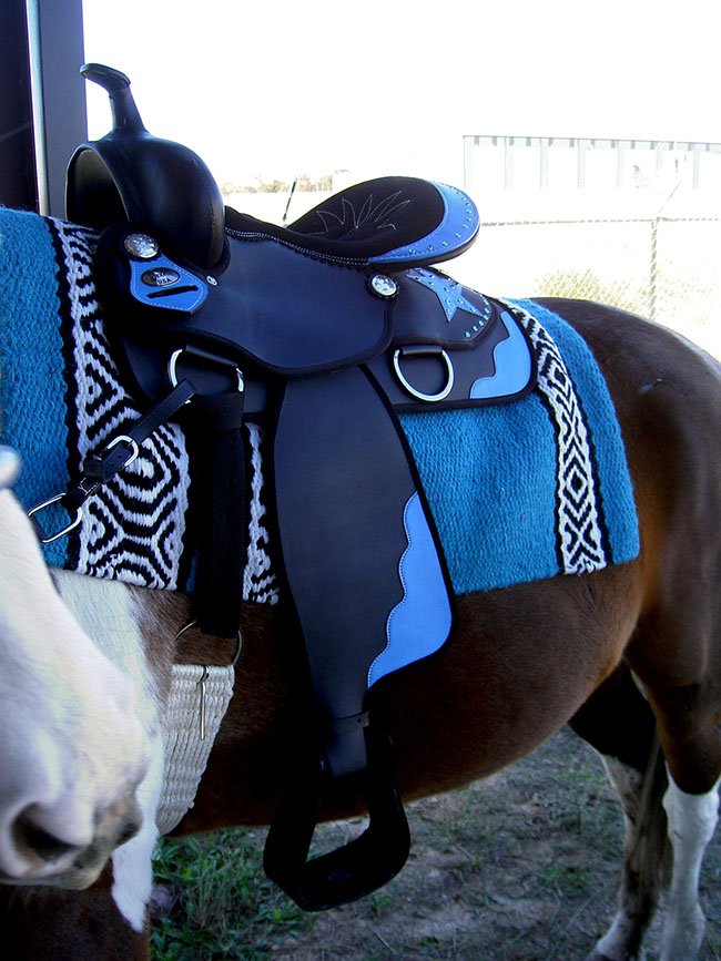 Western Cordura Trail Barrel Pleasure Horse Saddle Bridle Tack Blue 4917