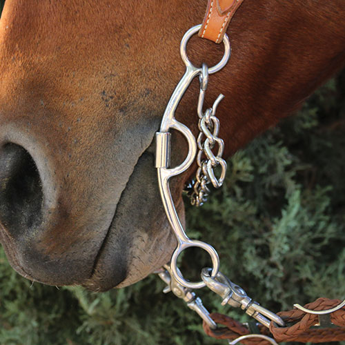 Horse Bit 6.75" Mouth Chain 35237