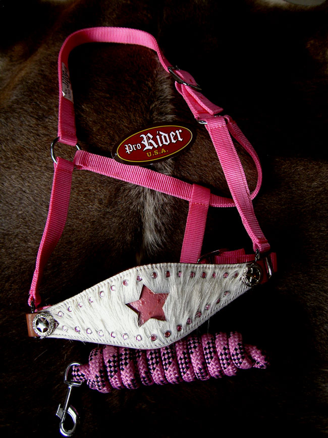 Challenger Noseband Bronc Halter – Taille Cheval, Turquoise, Neuf (réf 280HR13)