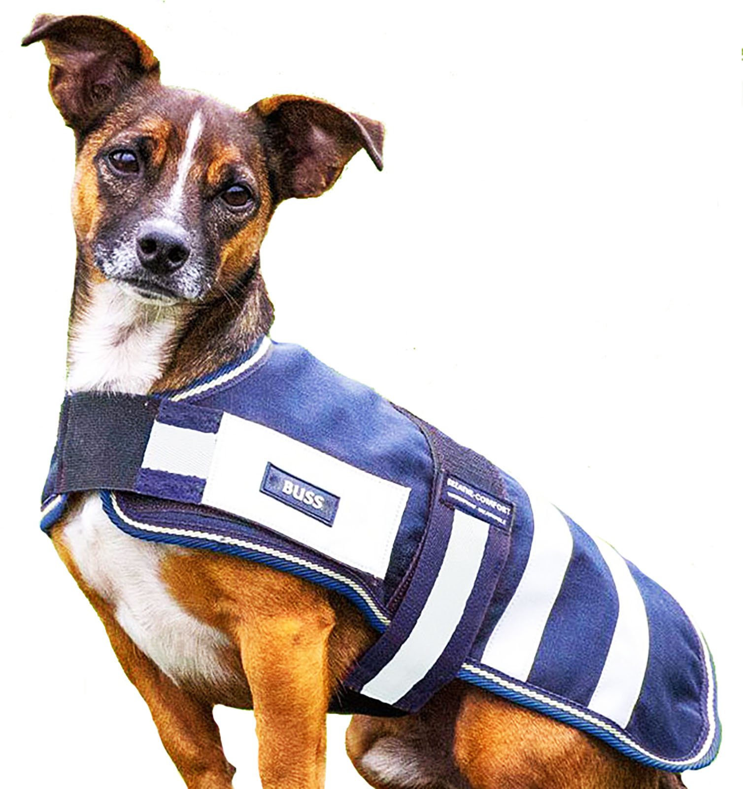 Weanling Puledro Mini Cavallo Vitello Pony Cane Giacca Invernale Coperta Gilet Antivento