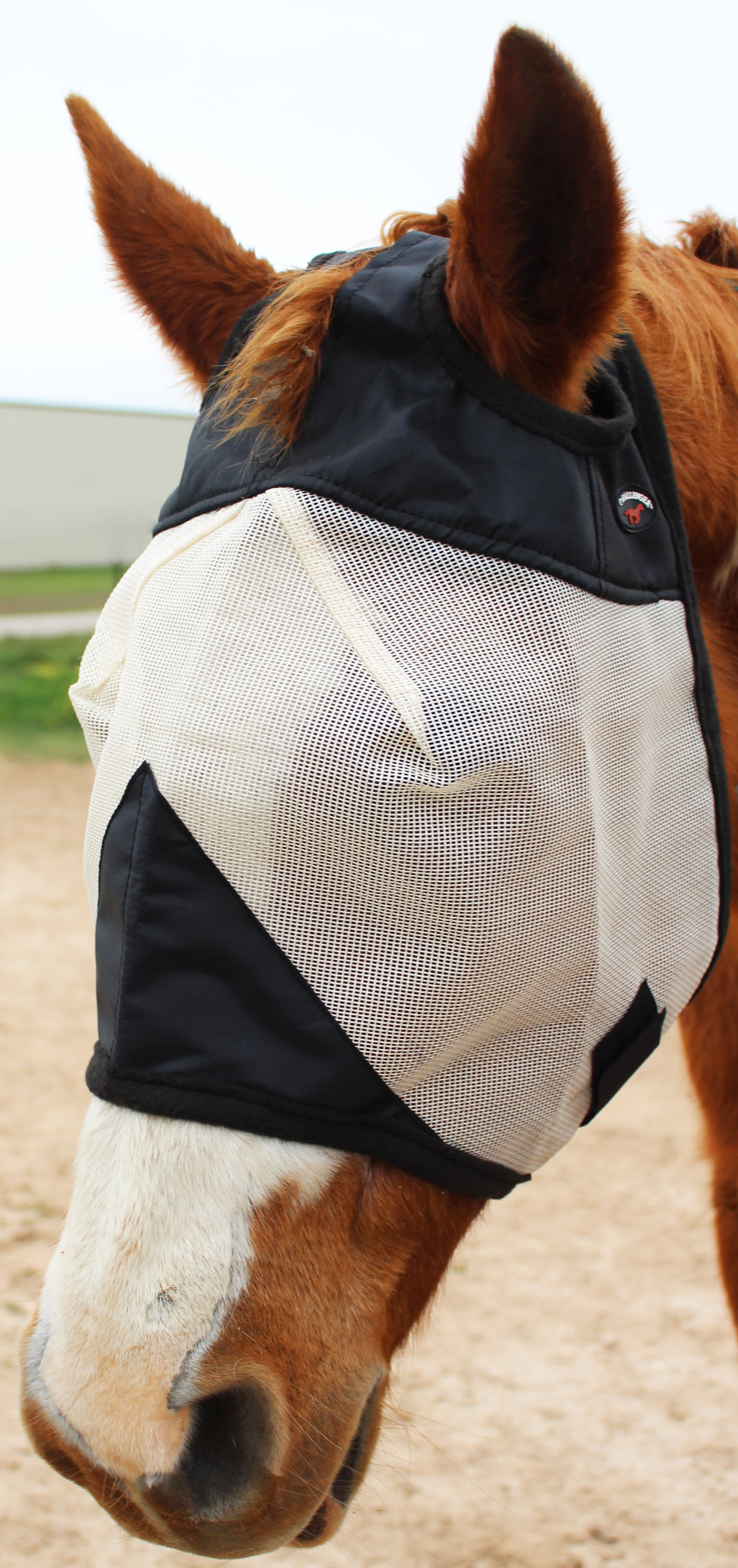 Masque Mouche Cheval Challenger – Taille Full, Blanc/rouge, Maille Airflow été/printemps