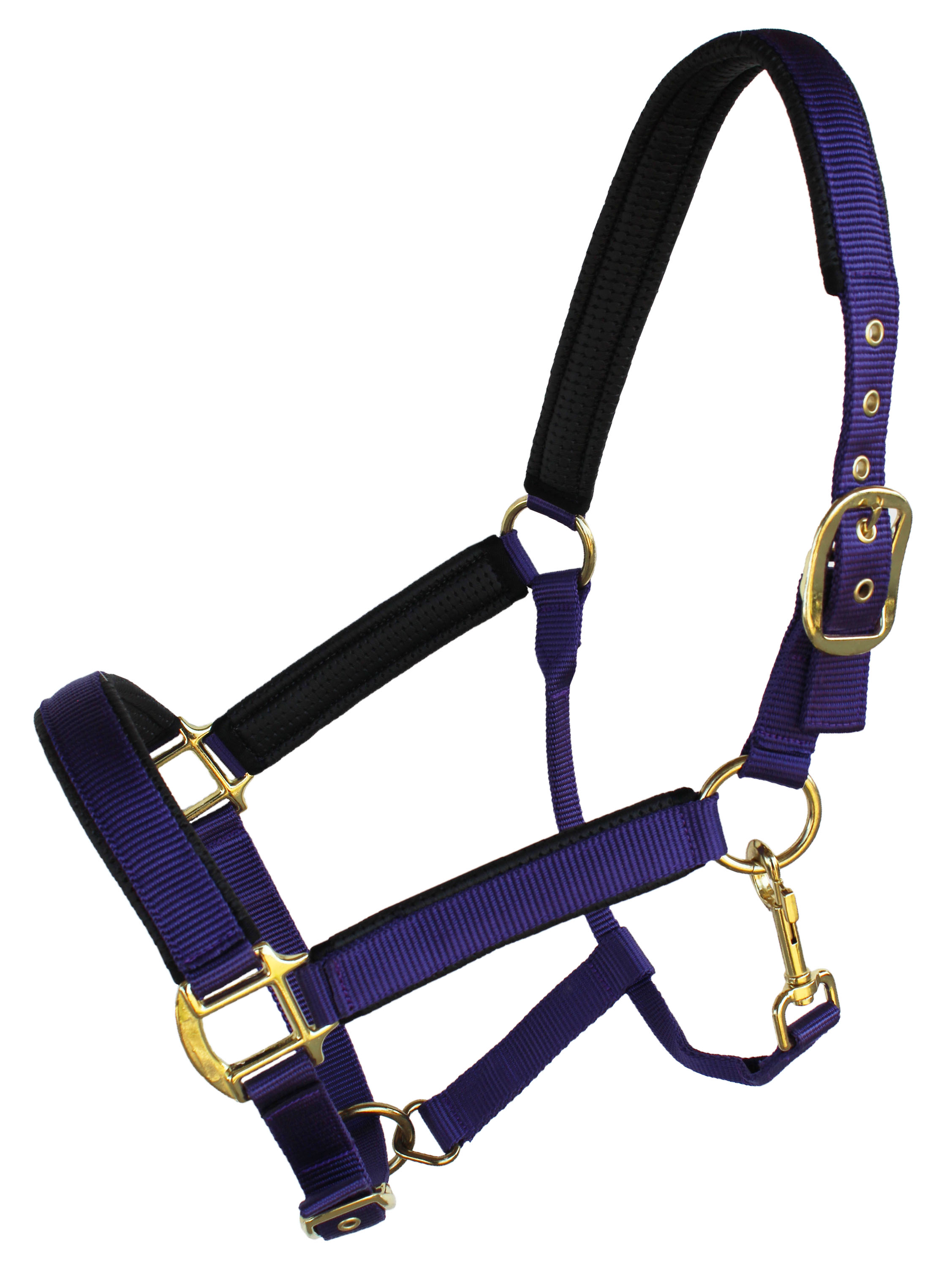 Nylon Horse Neoprene Padded Halter Brass Hardware Horse Tack Equine 606173 - Picture 10 of 18