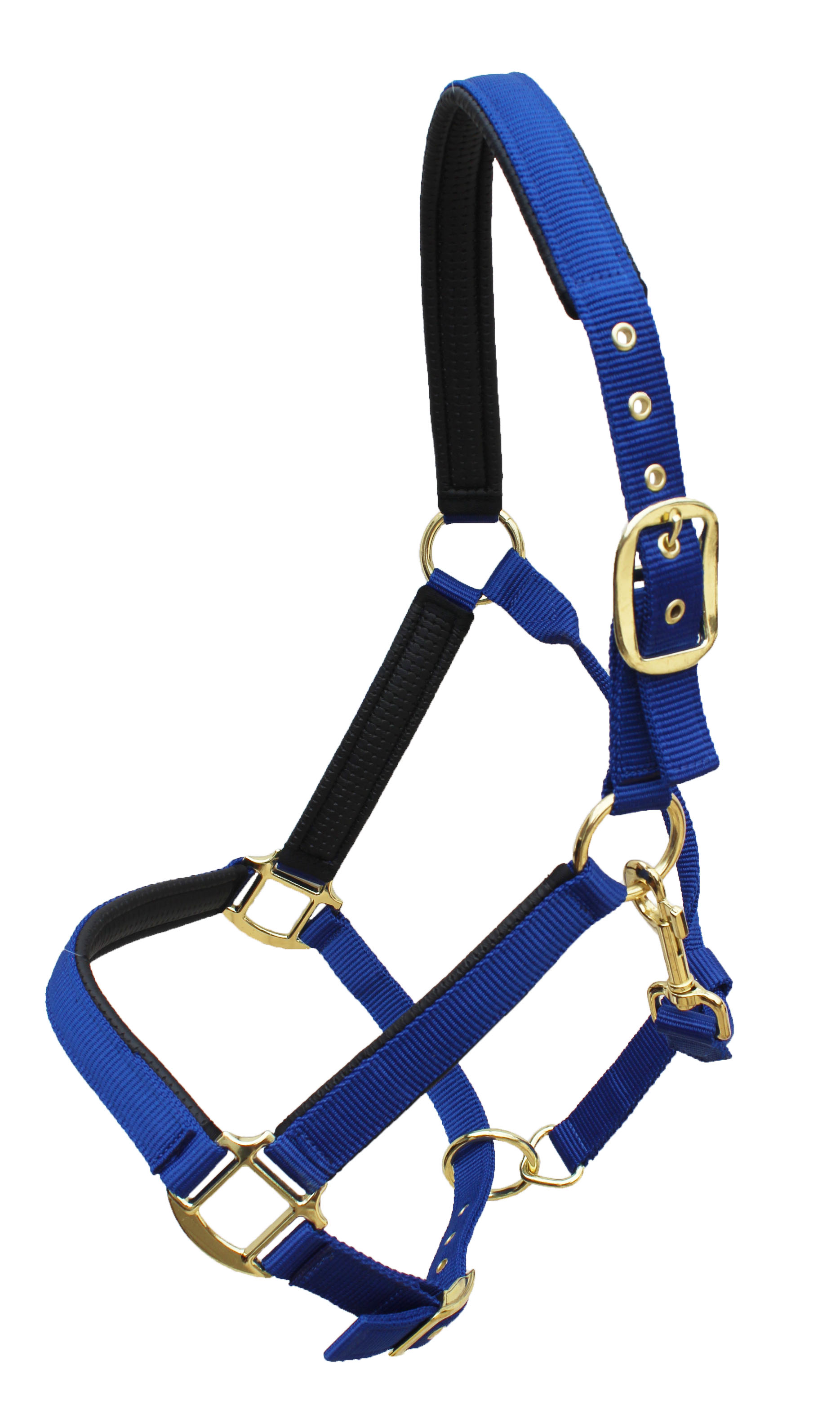 Nylon Horse Neoprene Padded Halter Brass Hardware Horse Tack Equine 606173 - Picture 13 of 18