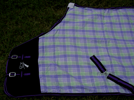 Picture 2 of 5